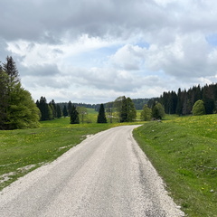 23-05-21 15-15-50 5526